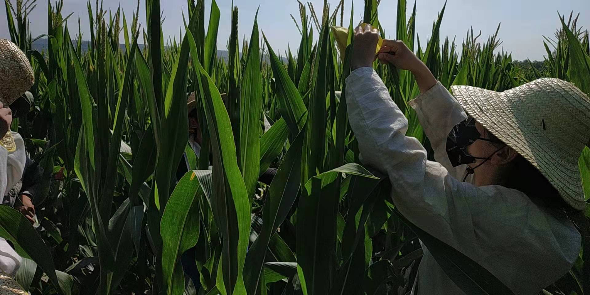 1638233452500903.jpg 研發(fā)中心3.jpg