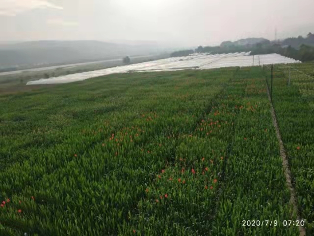 1638234222994849.jpg 研發(fā)中心6.jpg