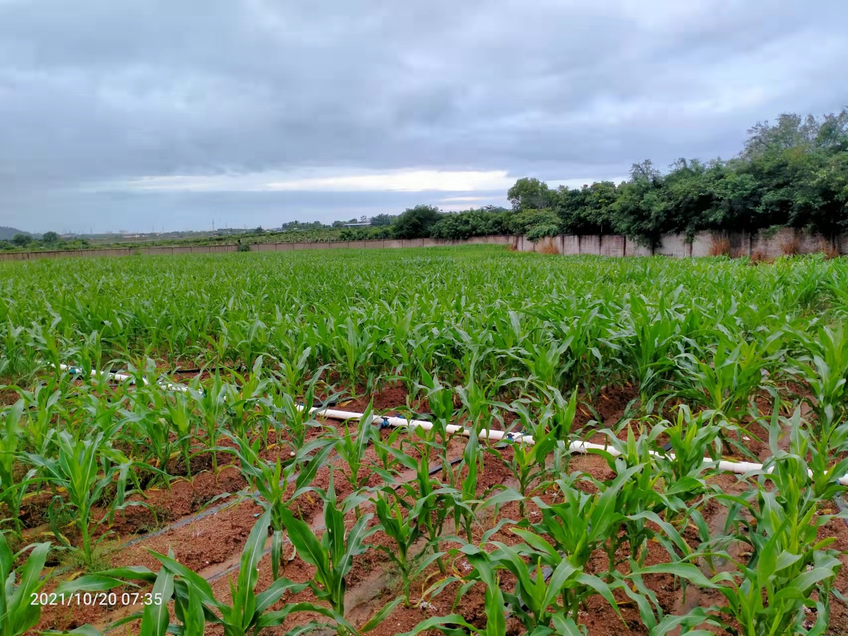 1638234450847371.jpg 研發(fā)中心9.jpg