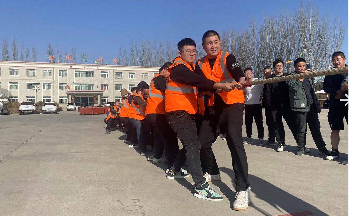 1678848706338917.png 5.png